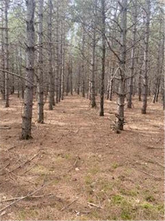 LOT5 Fawn Lake Rd, Breezy Point MN, 56442 land for sale