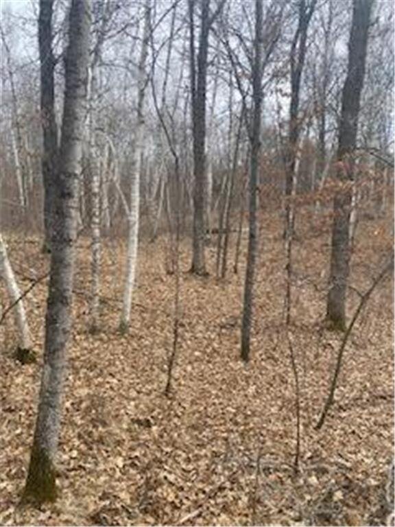 Listing photo 2 for LOT5 Fawn Lake Rd, Breezy Point MN 56442