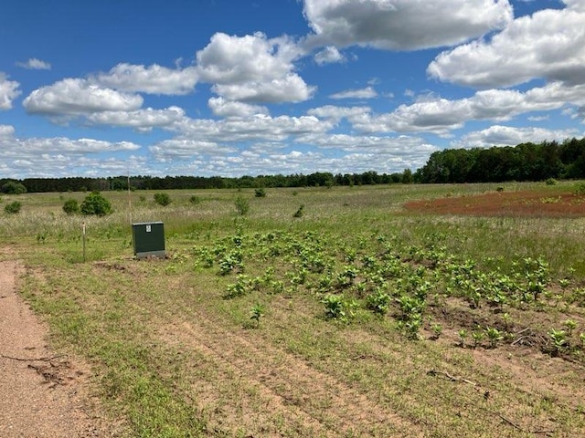 view of landscape featuring a rural view