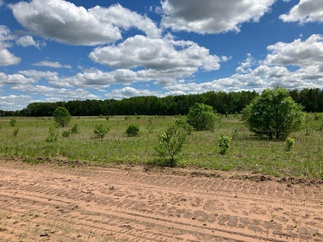 view of landscape with a rural view