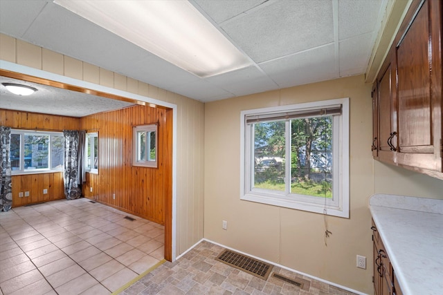 kitchen with plenty of natural light and wood walls