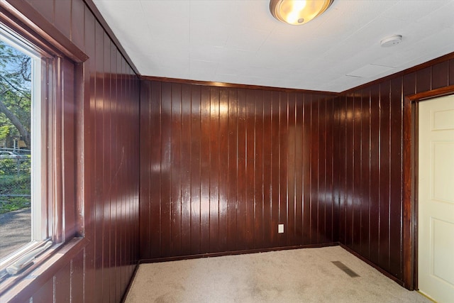 empty room featuring carpet floors and wood walls