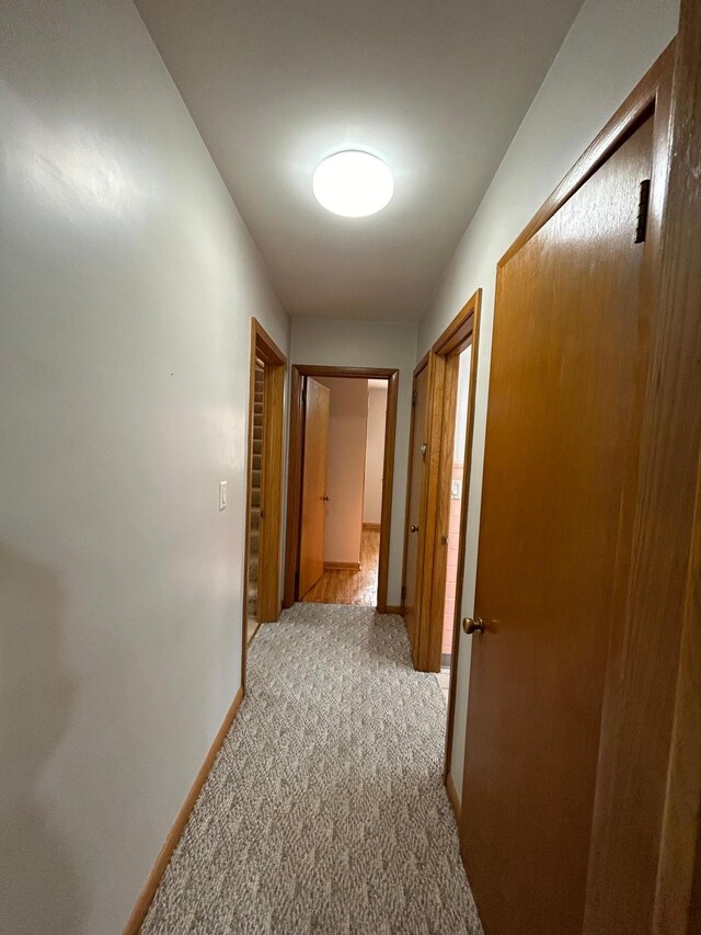 625 10th St, Montevideo, MN 56265 - corridor with baseboards and light colored carpet
