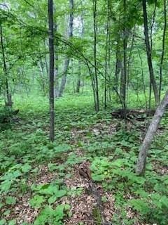 LOT2 Fawn Lake Rd, Breezy Point MN, 56442 land for sale