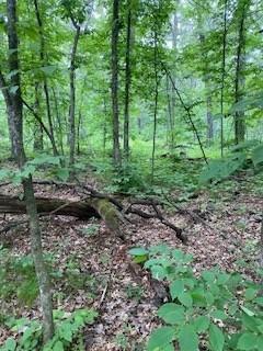 Listing photo 2 for LOT2 Fawn Lake Rd, Breezy Point MN 56442