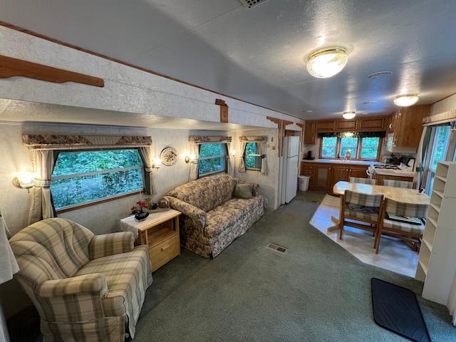 living room with carpet floors, sink, and a textured ceiling