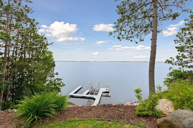 dock area with a water view