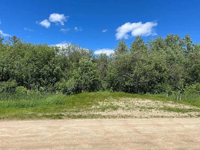 Listing photo 3 for XXX Graceton Beach Rd NW, Williams MN 56686