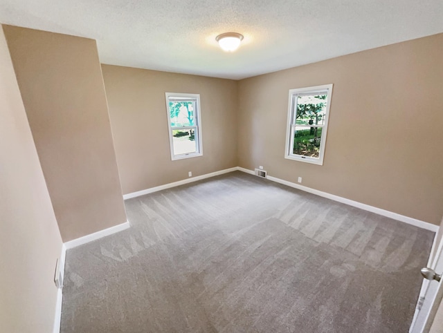 spare room featuring a textured ceiling, carpet flooring, and a healthy amount of sunlight