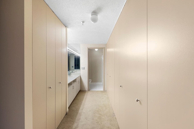 bathroom featuring vanity, toilet, and a textured ceiling