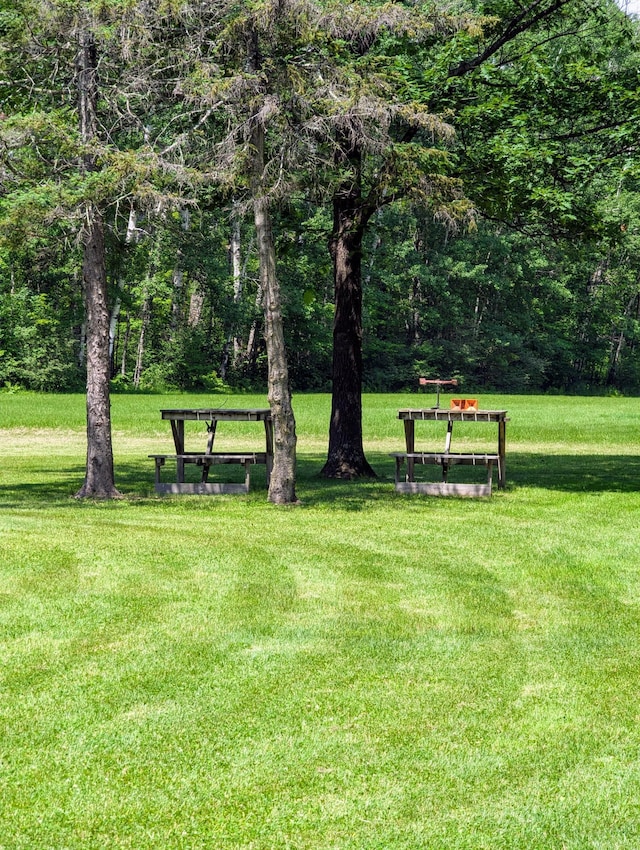 surrounding community featuring a yard