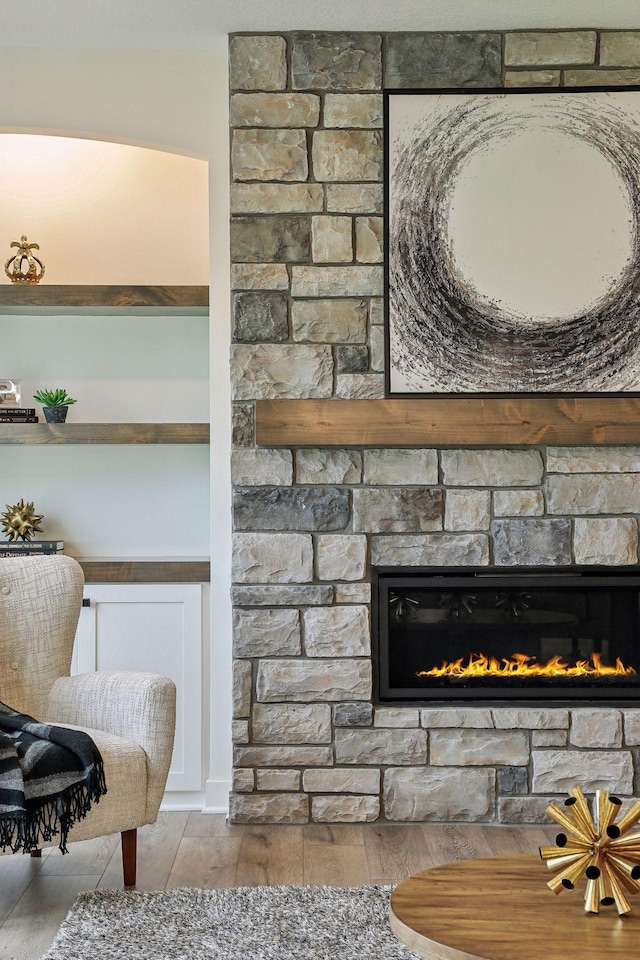 details featuring a stone fireplace and wood-type flooring