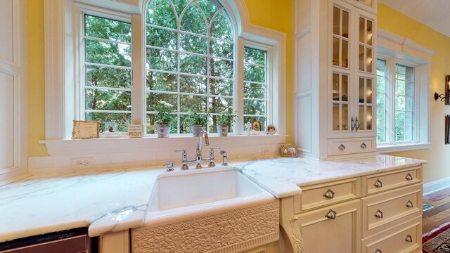 kitchen with light stone counters, sink, and wood-type flooring