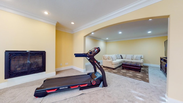 workout room with crown molding and carpet flooring