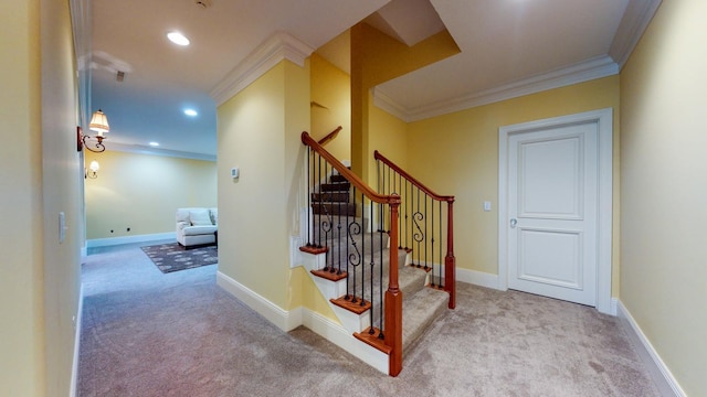 stairway featuring carpet flooring and ornamental molding