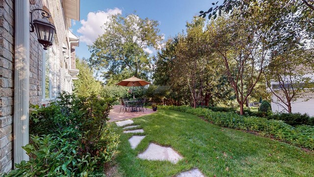 view of yard featuring a patio