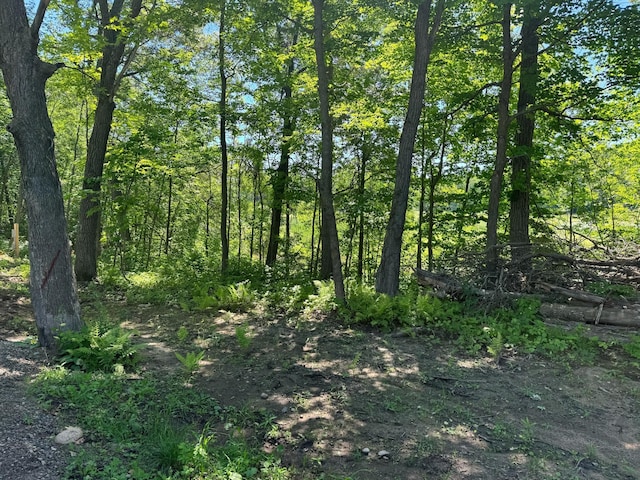 LOT78 Baffie Bnd, Onamia, MN 56450