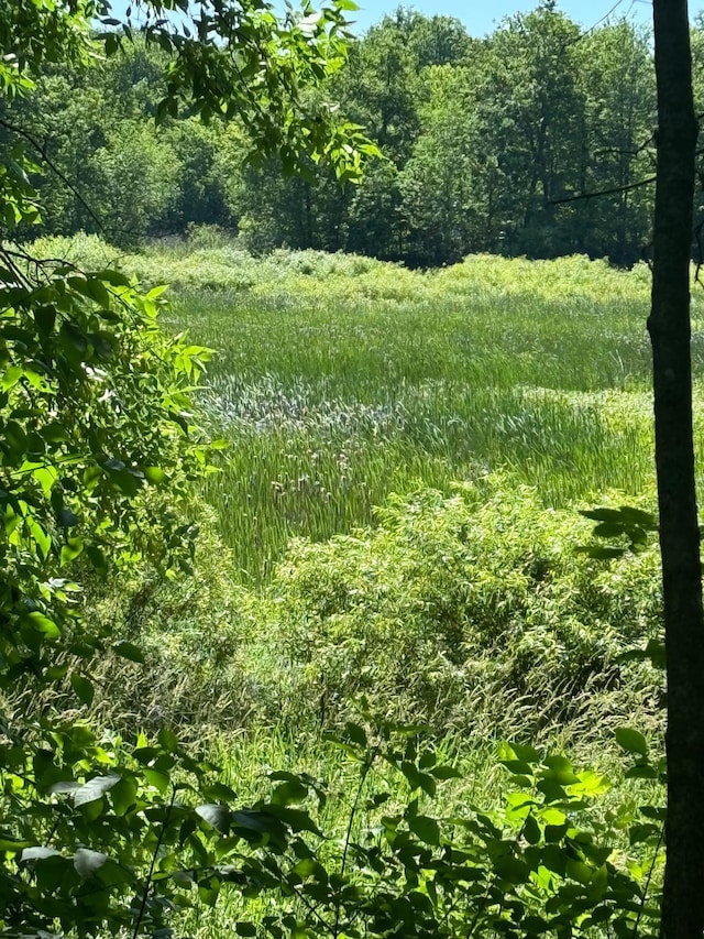 LOT78 Baffie Bnd, Onamia, MN 56450