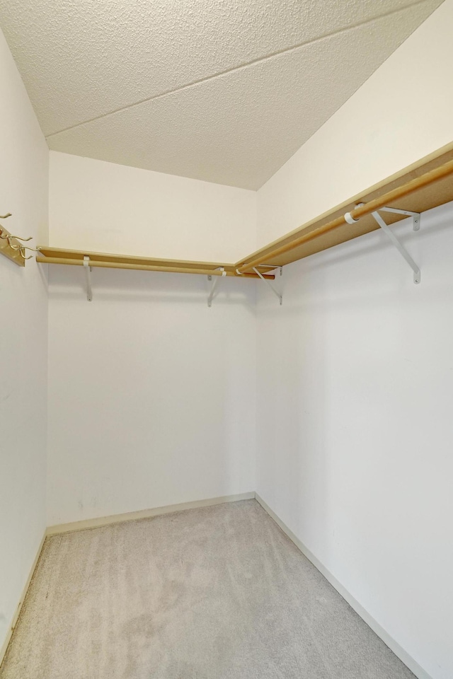 walk in closet featuring carpet flooring