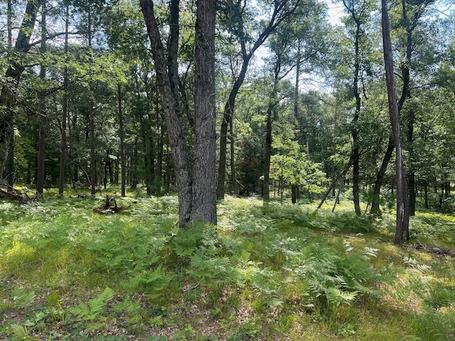 LOT207 Deerpath Ter, Danbury, WI 54830