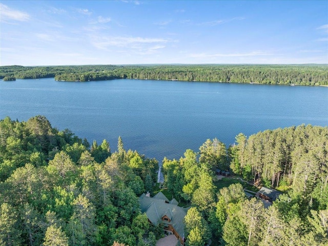 3912 Del Ray Trl NE, Remer, MN 56672 - photo 36