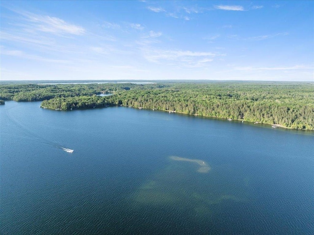 3912 Del Ray Trl NE, Remer, MN 56672 - photo 38