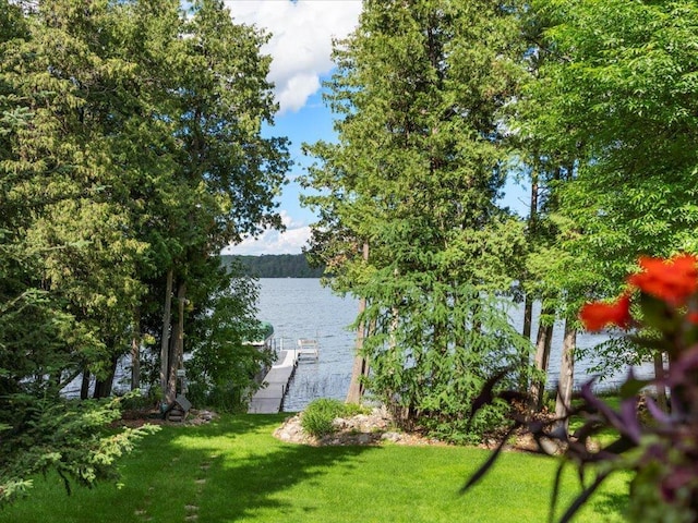 water view with a dock