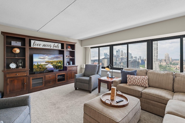 living room featuring a textured ceiling and carpet flooring