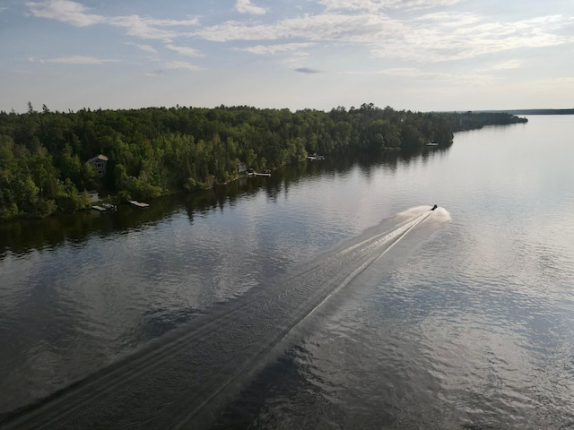 property view of water