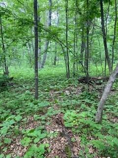 LOT3 Fawn Lake Rd, Breezy Point MN, 56442 land for sale