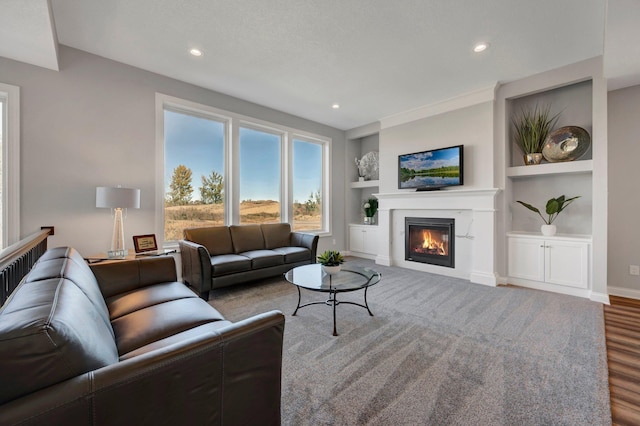 living room with built in shelves and hardwood / wood-style floors