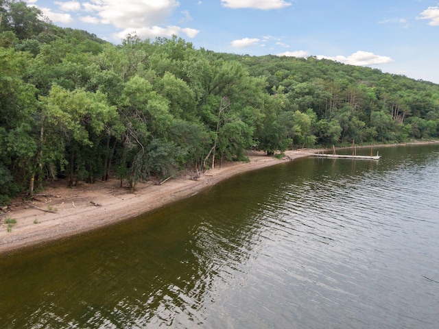 property view of water with a boat dock