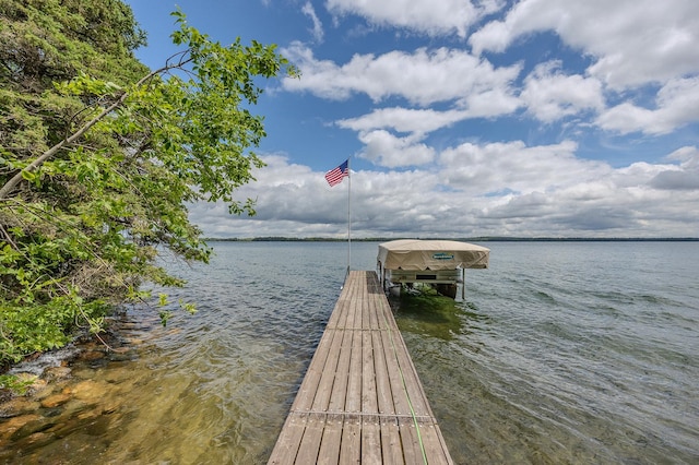 dock area with a water view