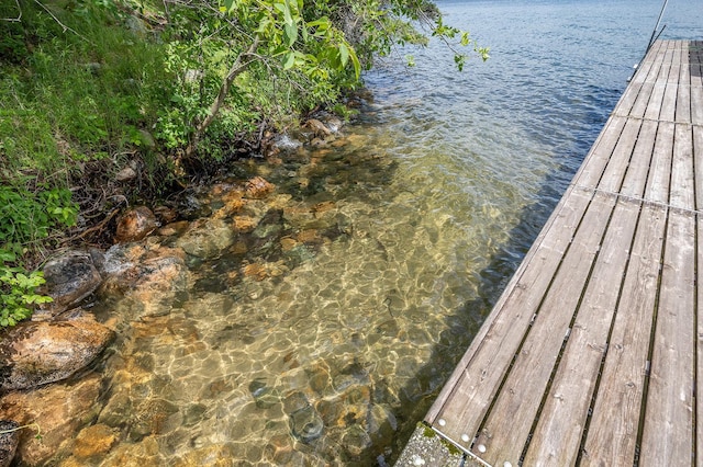 dock area featuring a water view