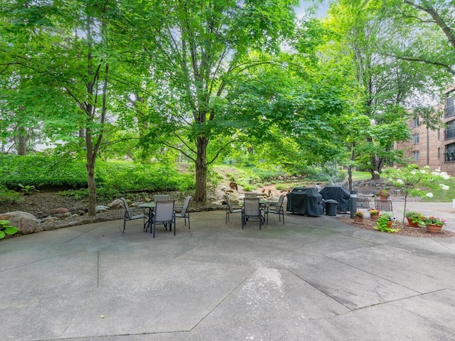 view of patio / terrace with outdoor dining area and grilling area