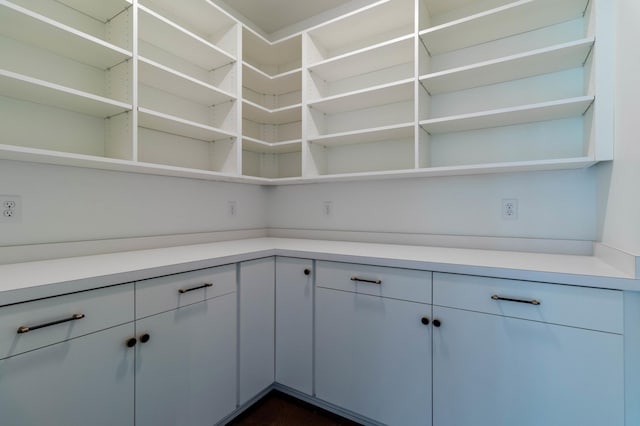 3180 Bella Terra Ln NE, Rochester, MN 55906 - view of pantry