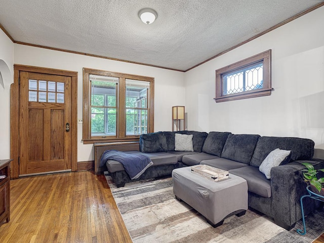 living room featuring crown molding, plenty of natural light, and light hardwood / wood-style floors