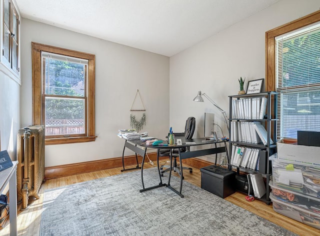 office space with hardwood / wood-style flooring and radiator