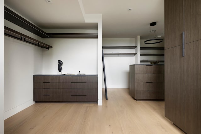 spacious closet with light wood-type flooring