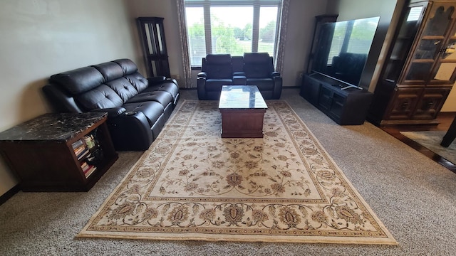 living room with carpet floors