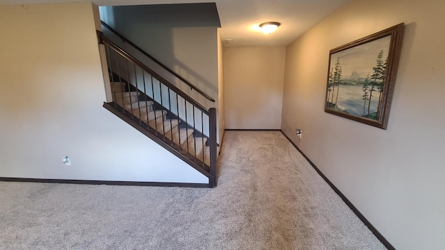 staircase with carpet