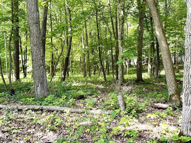 view of landscape featuring a view of trees