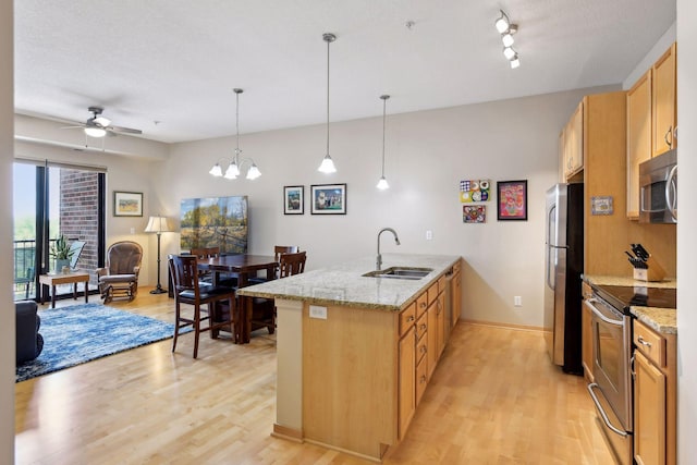 kitchen featuring a peninsula, light wood-style floors, stainless steel appliances, and a sink