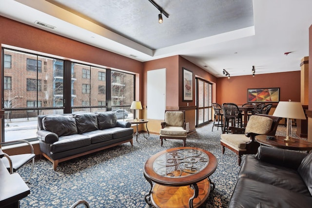 living area featuring carpet floors, rail lighting, and visible vents