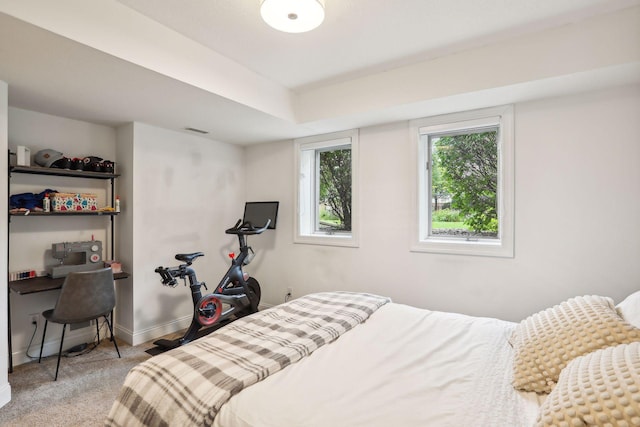 bedroom featuring light carpet