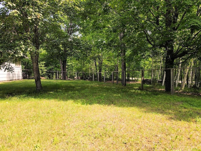 20761 Moose Point Rd, Grand Rapids, MN 55744 - view of yard with fence