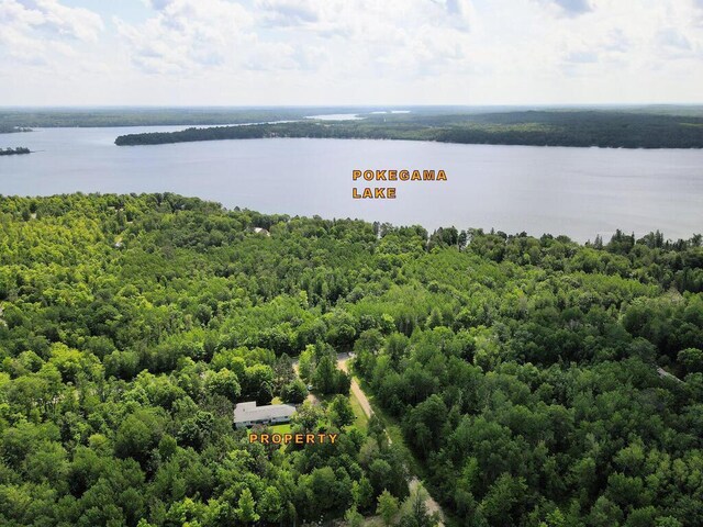 20761 Moose Point Rd, Grand Rapids, MN 55744 - aerial view with a water view and a view of trees