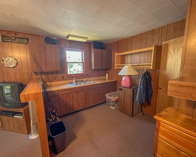 kitchen featuring sink, carpet, and wooden walls