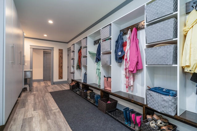 mudroom featuring crown molding and hardwood / wood-style floors