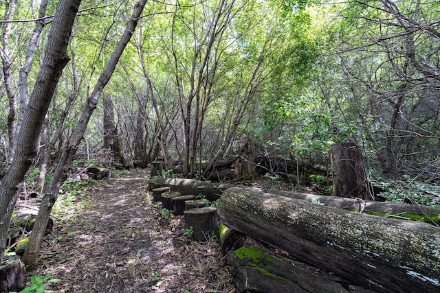 view of local wilderness